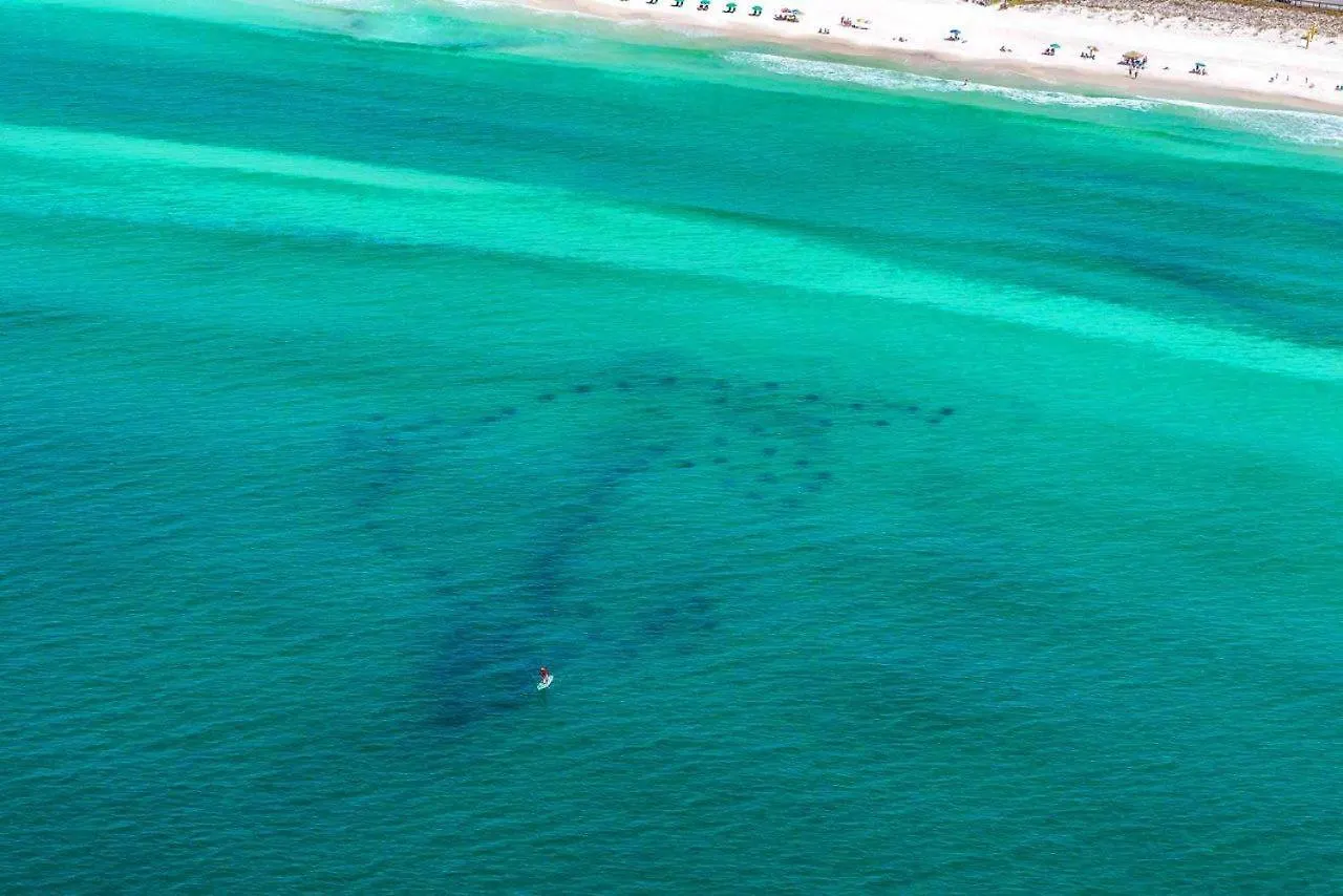 Eat.Sleep.Beach.Repeat Destin 0*,  United States